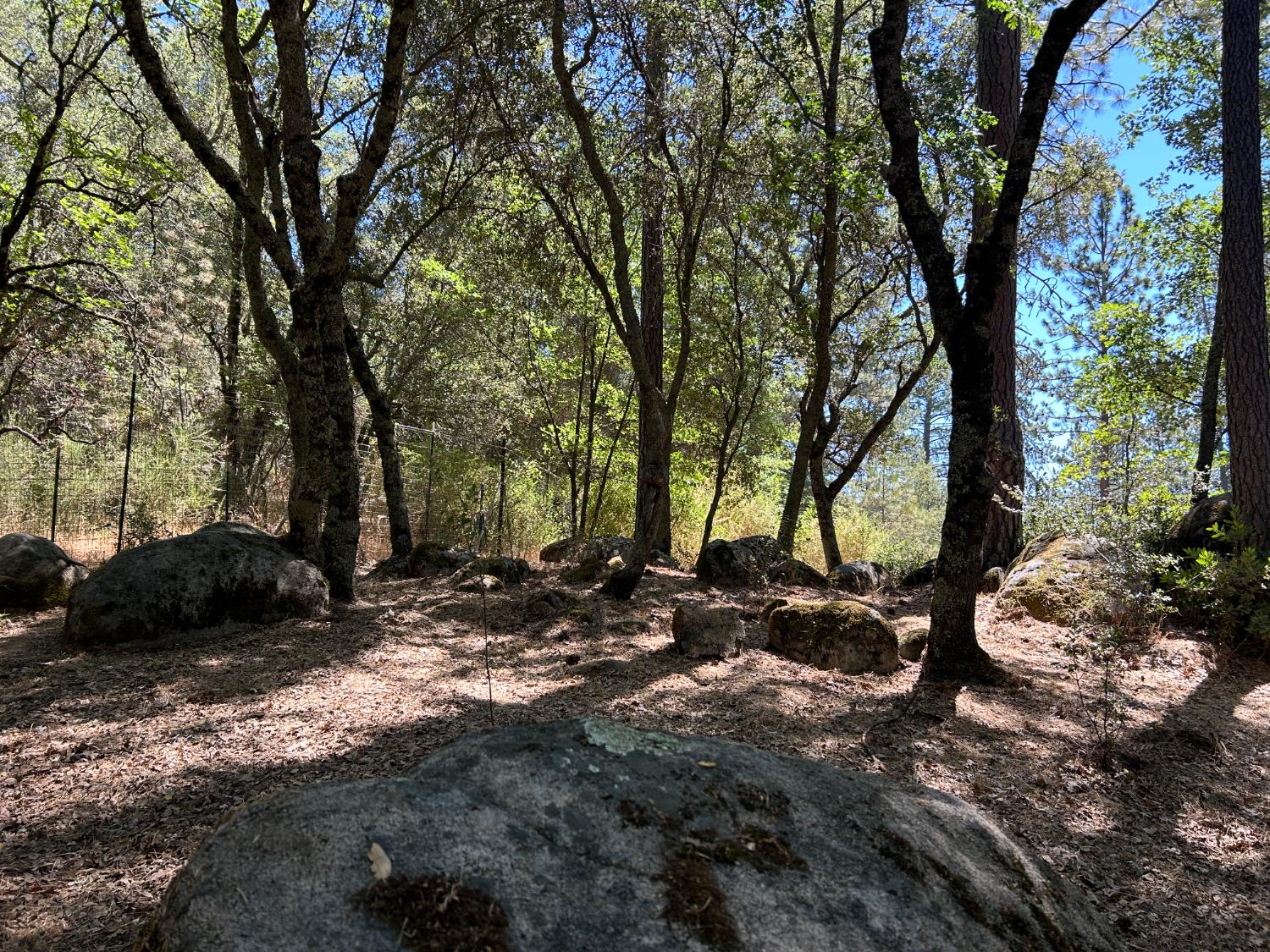 14899 Shenandoah Road