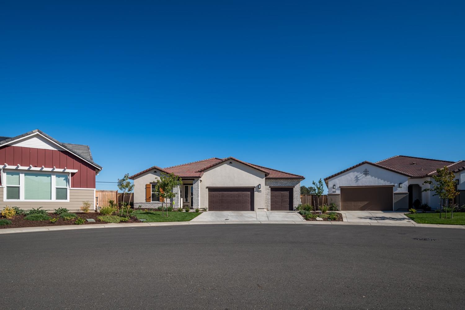 8305 Evans Tree Drive