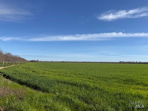 9415 Stevenson Bridge Road Winters CA 95694