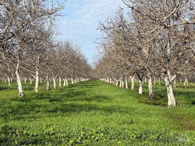 9415 Stevenson Bridge Road