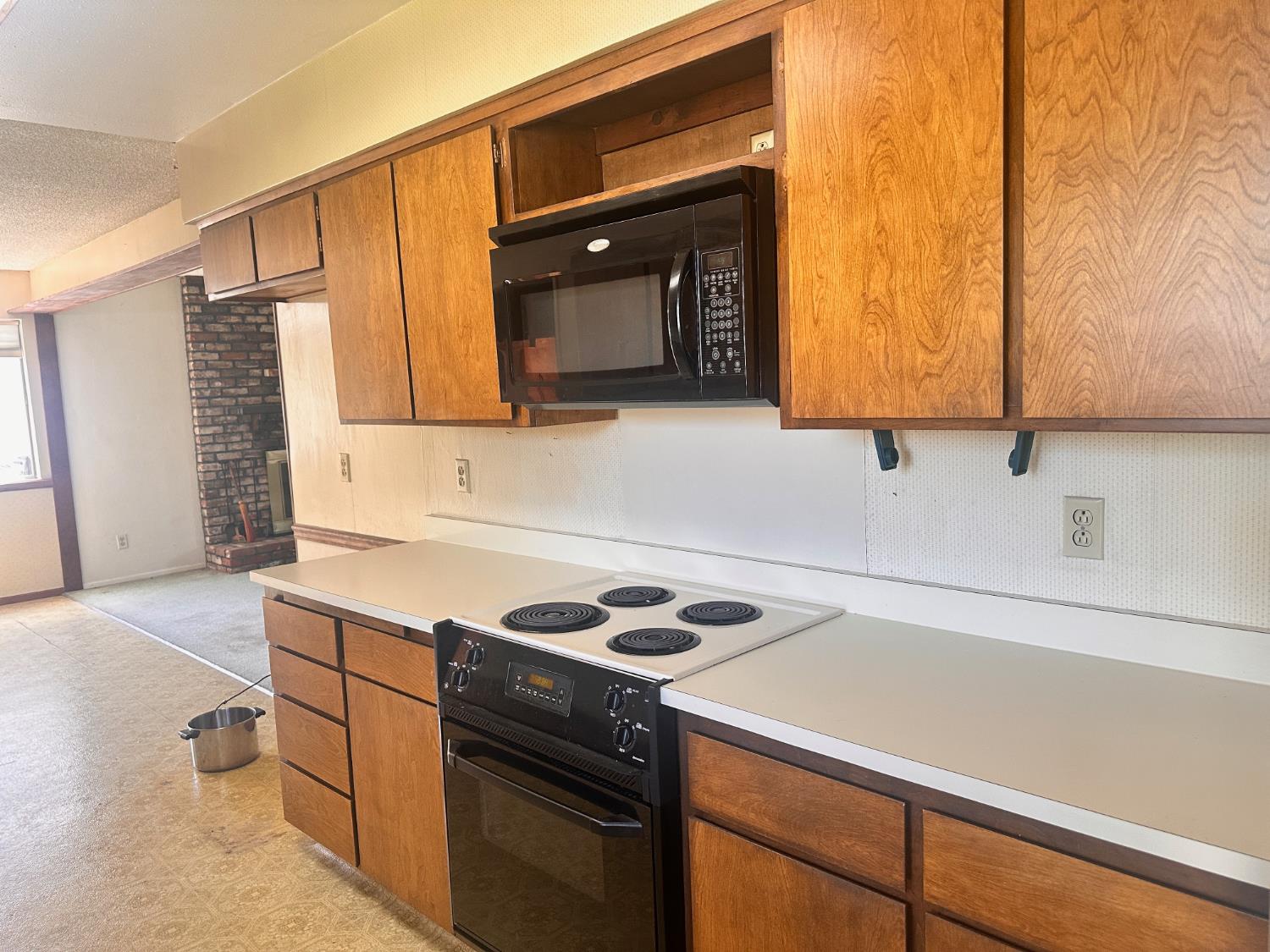 3207 Terry Way