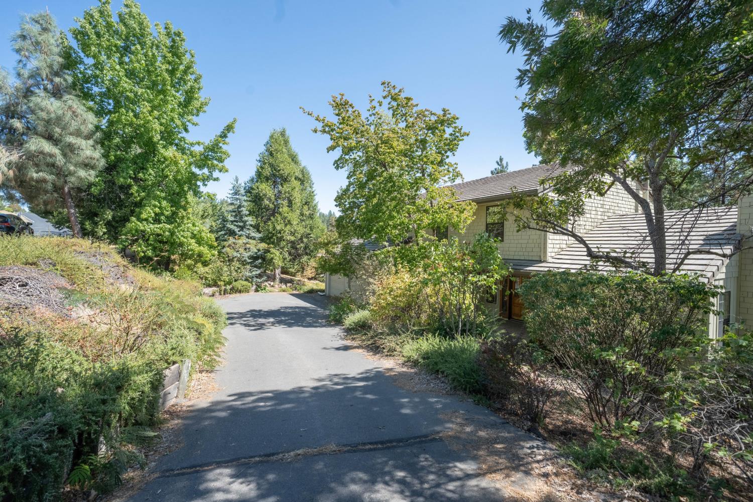 517 Forest Meadows Drive