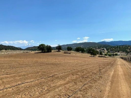 739 E OBERLIN RD, YREKA, CA 96097 - Image 44e243c3e5c930abca30a8786a2c600d/73671950