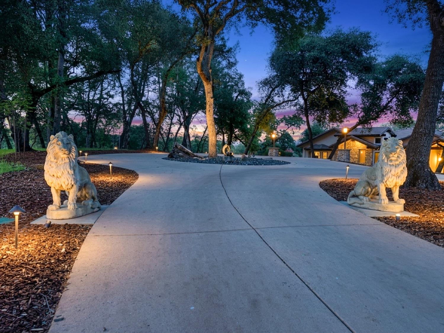 10165 Coyote Ridge Court