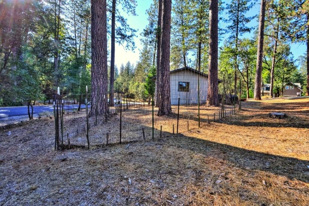 20956 Birchwood