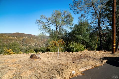 408 Wagon Wheel Court Pope Valley CA 94567