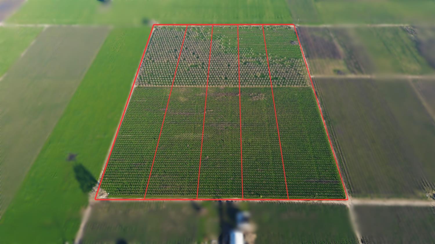 15910 N Locust Tree Road