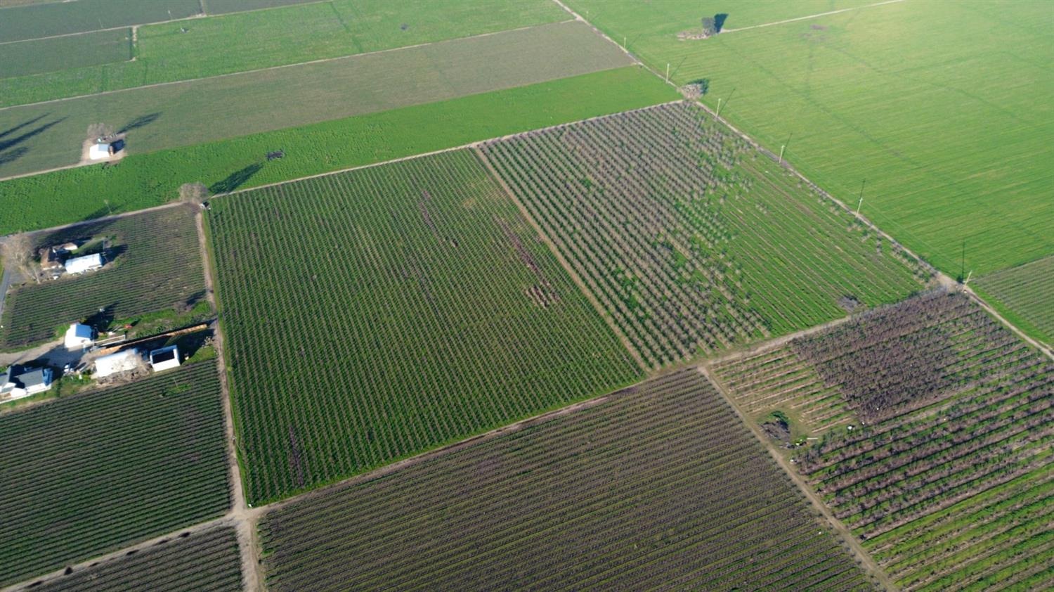 15910 N Locust Tree Road