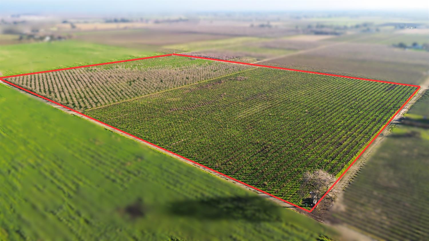 15910 N Locust Tree Road