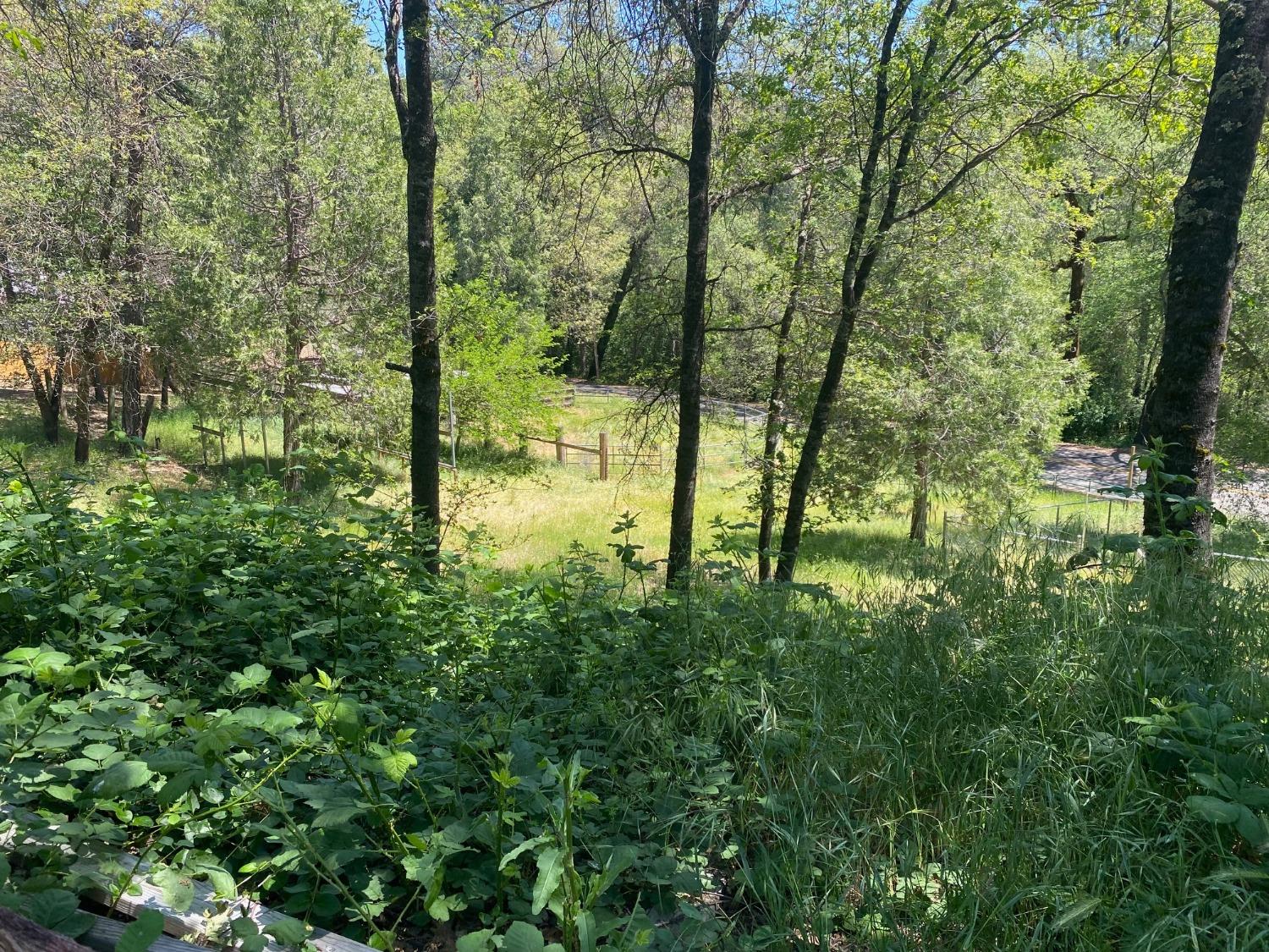 Dobbins, California 95935, United States, 2 Bedrooms Bedrooms, ,3 BathroomsBathrooms,Residential,Active,8825