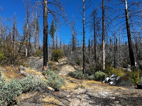 0 Bald Rock Road Berry Creek CA 95916