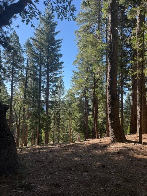 Photo 1 of 3 — 5186 Meko, Camp Connell, CA 95223