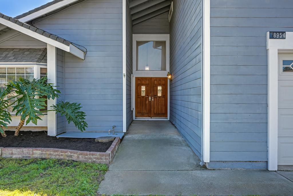 8954 Park Trail Drive