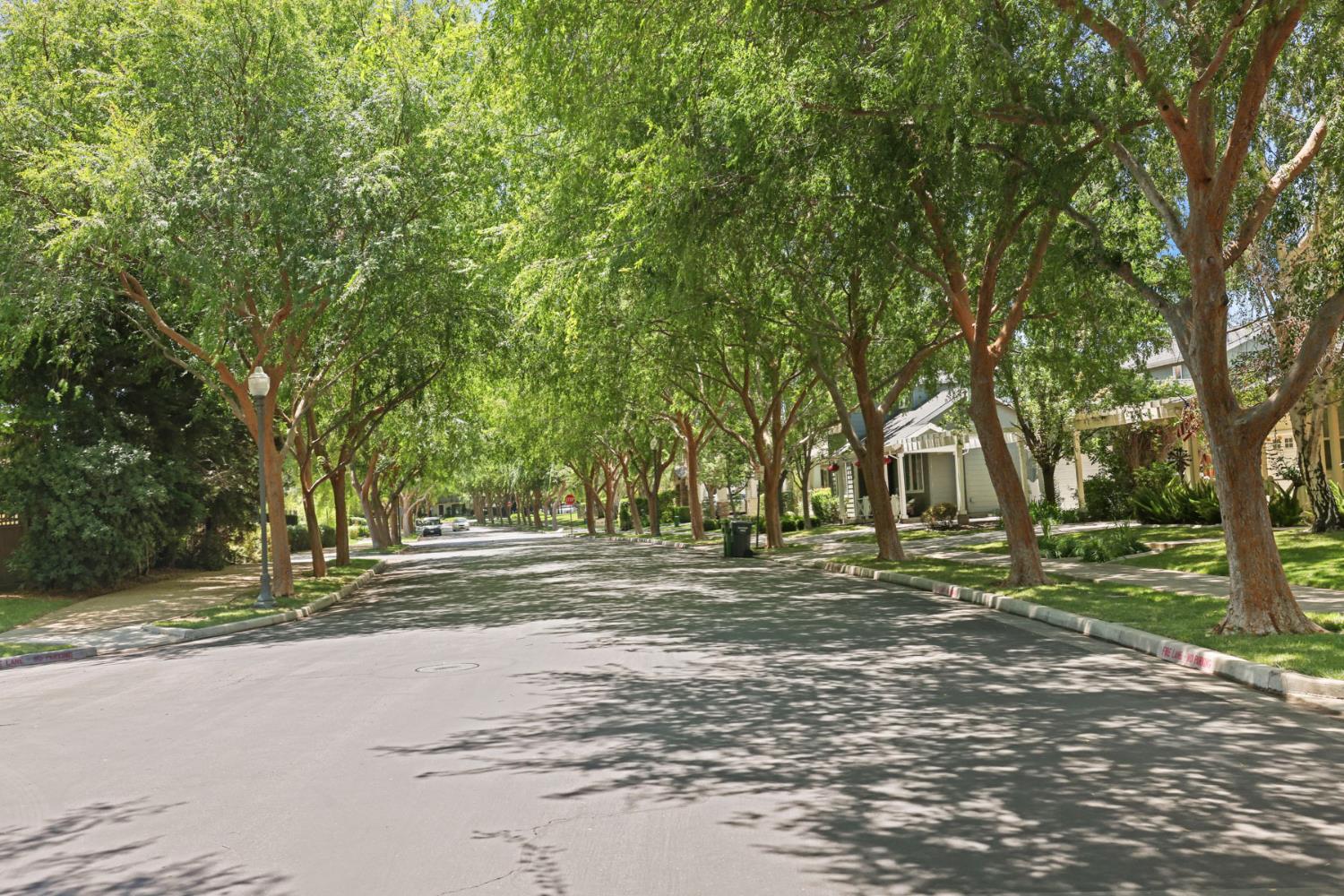 629 Belmont Lane