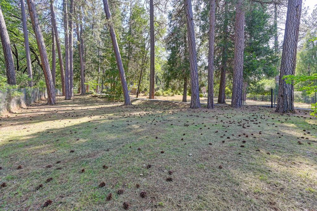 1925 Meadow Vista Road