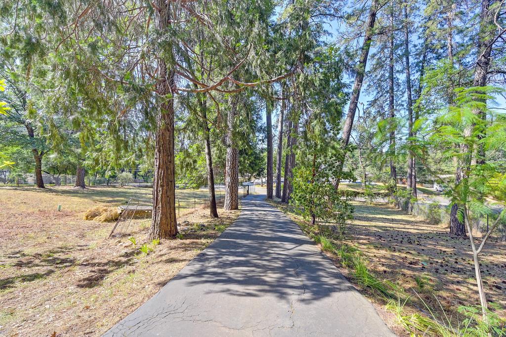 1925 Meadow Vista Road
