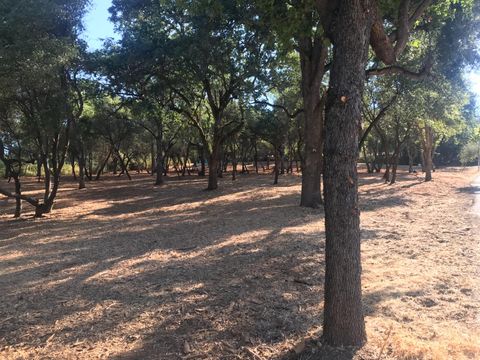 4706 Hillwood Dr Shingle Springs CA 95682