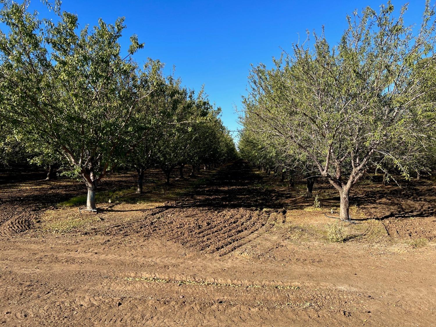 33033 State Highway 16