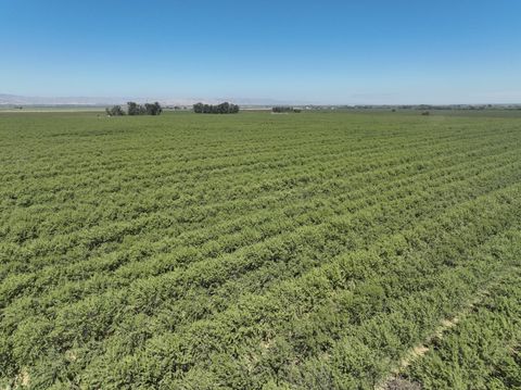 33033 State Highway 16 Woodland CA 95695