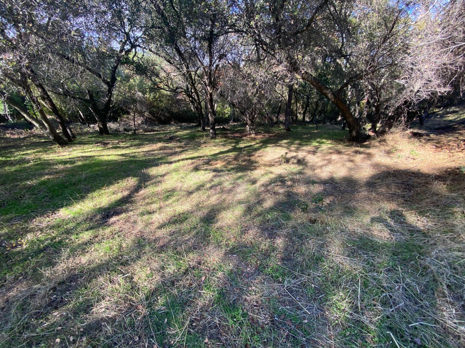 119 Flat Rock Drive