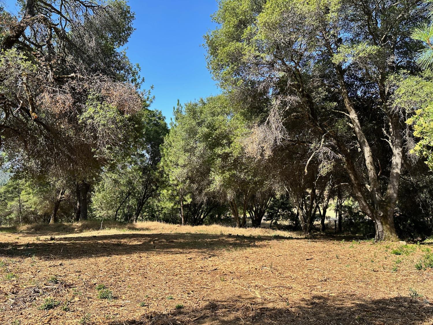 16705 E Summit View Drive