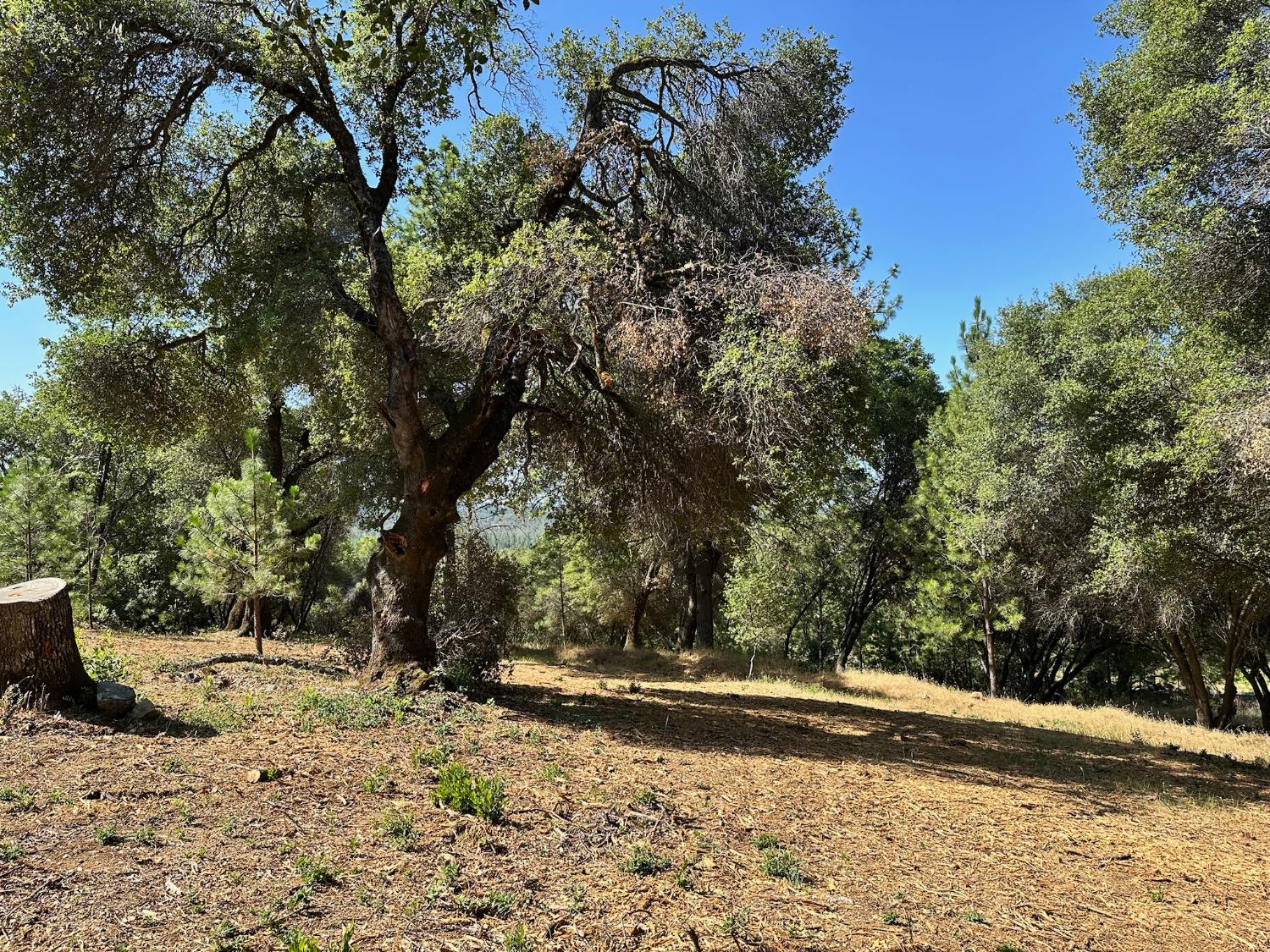 16705 E Summit View Drive