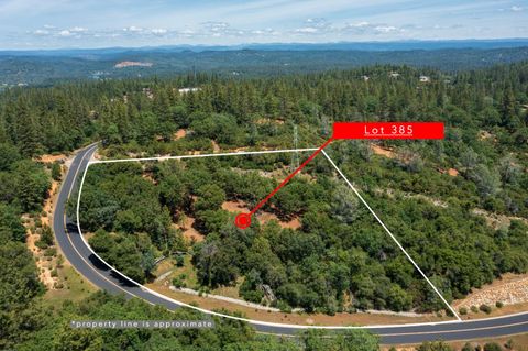 16705 E Summit View Drive Meadow Vista CA 95722