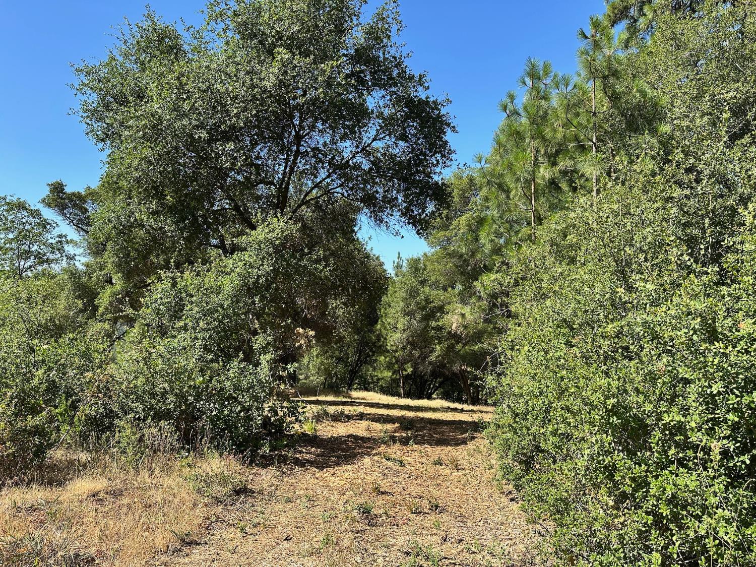 16705 E Summit View Drive