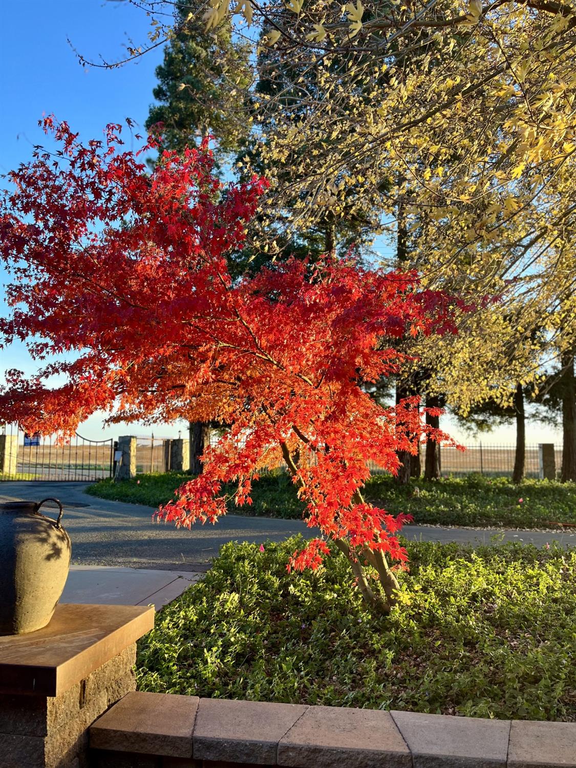 5880 Sunset Boulevard West