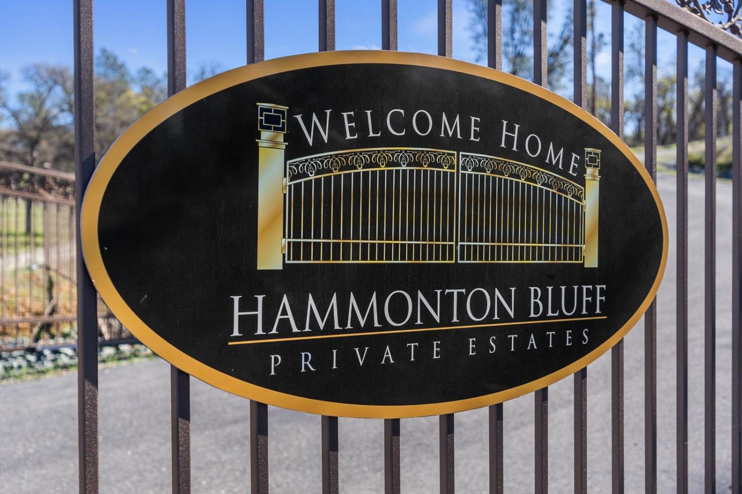 7942 Hammonton Bluffs Drive