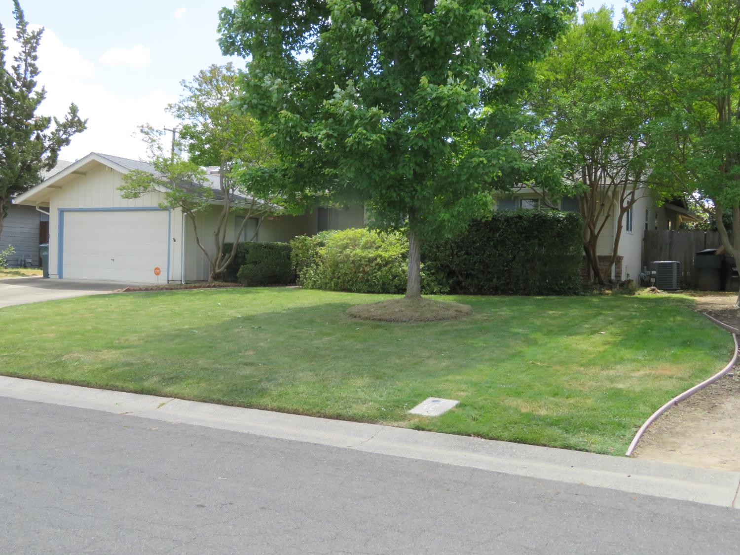 4428 Juno Way