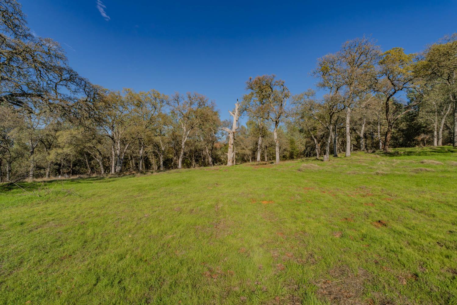 0 N Oak Ridge Circle