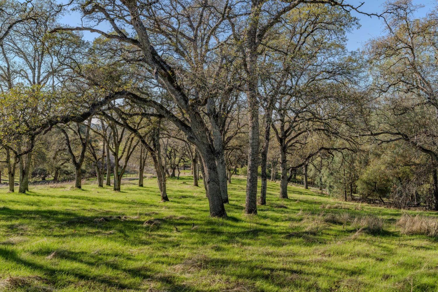 0 N Oak Ridge Circle