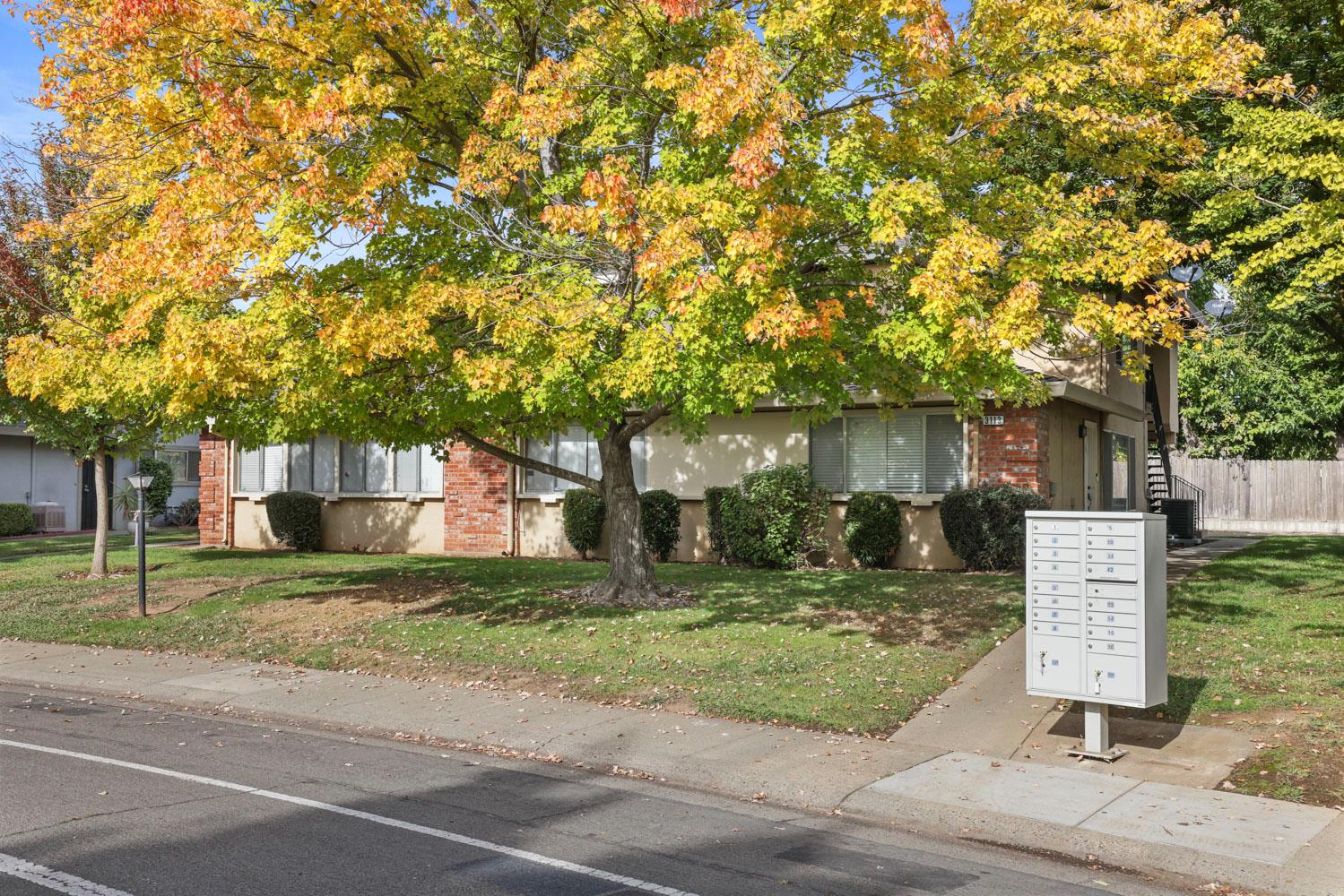 3113 Occidental Drive 4