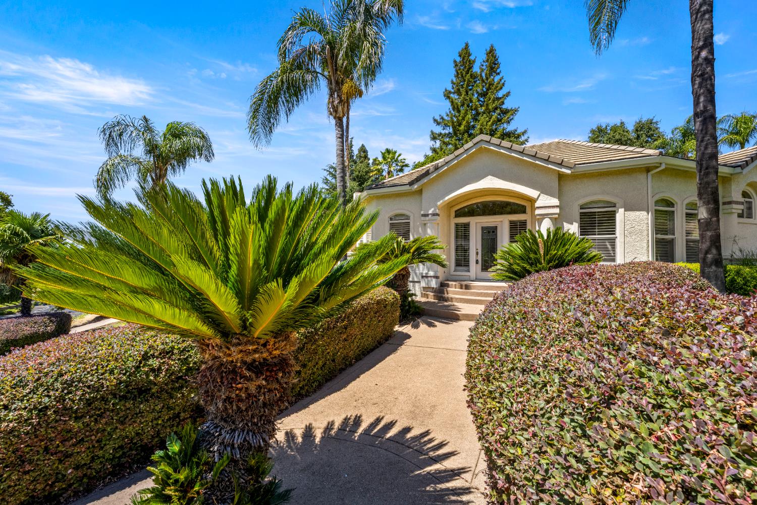 100 Black Gold Lane