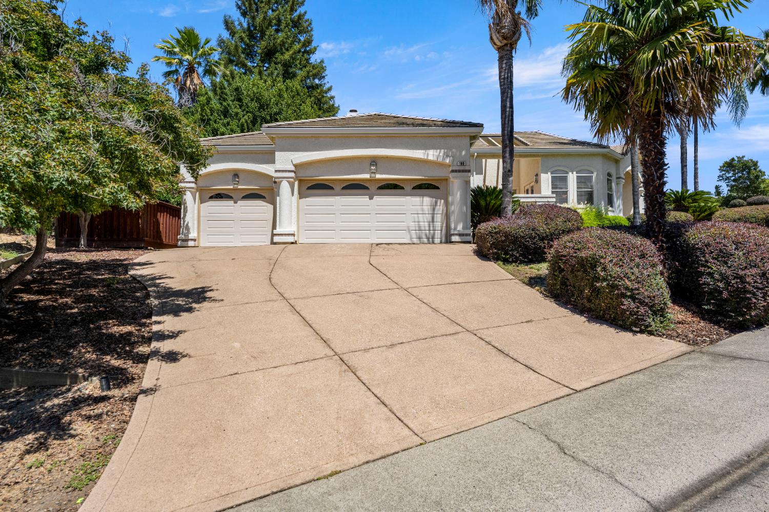 100 Black Gold Lane