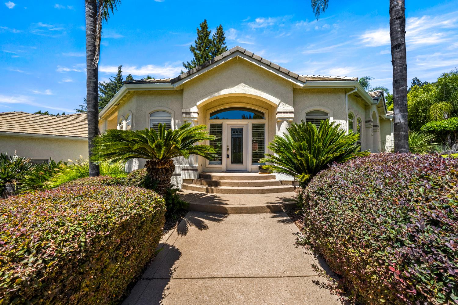 100 Black Gold Lane