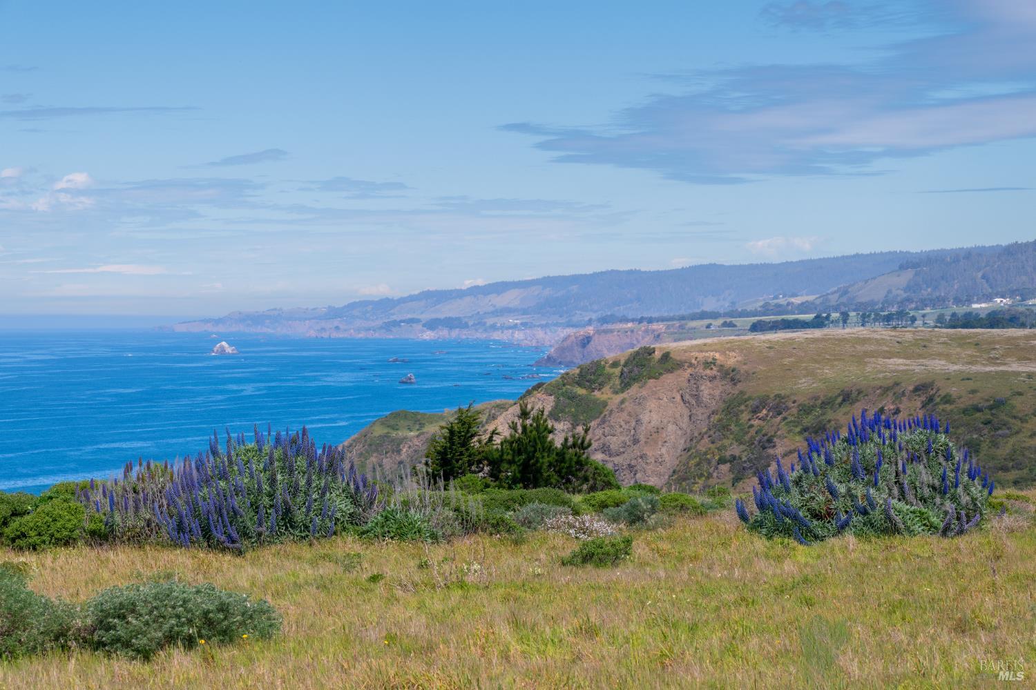 14720 S HIghway 1 None