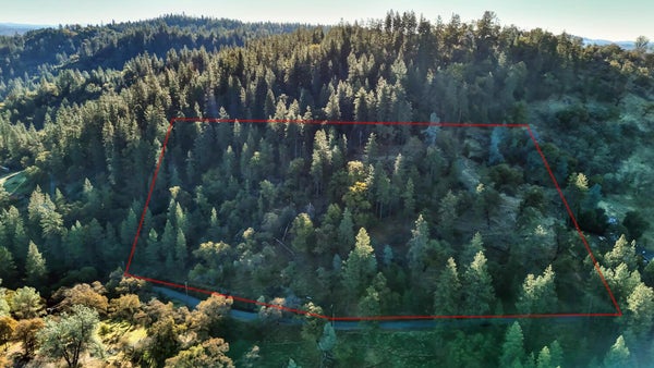 19225 MORONI LN, GRASS VALLEY, CA 95949 - Image 4bd4e39356ca077f3f4d4b77d43312f1/99390581
