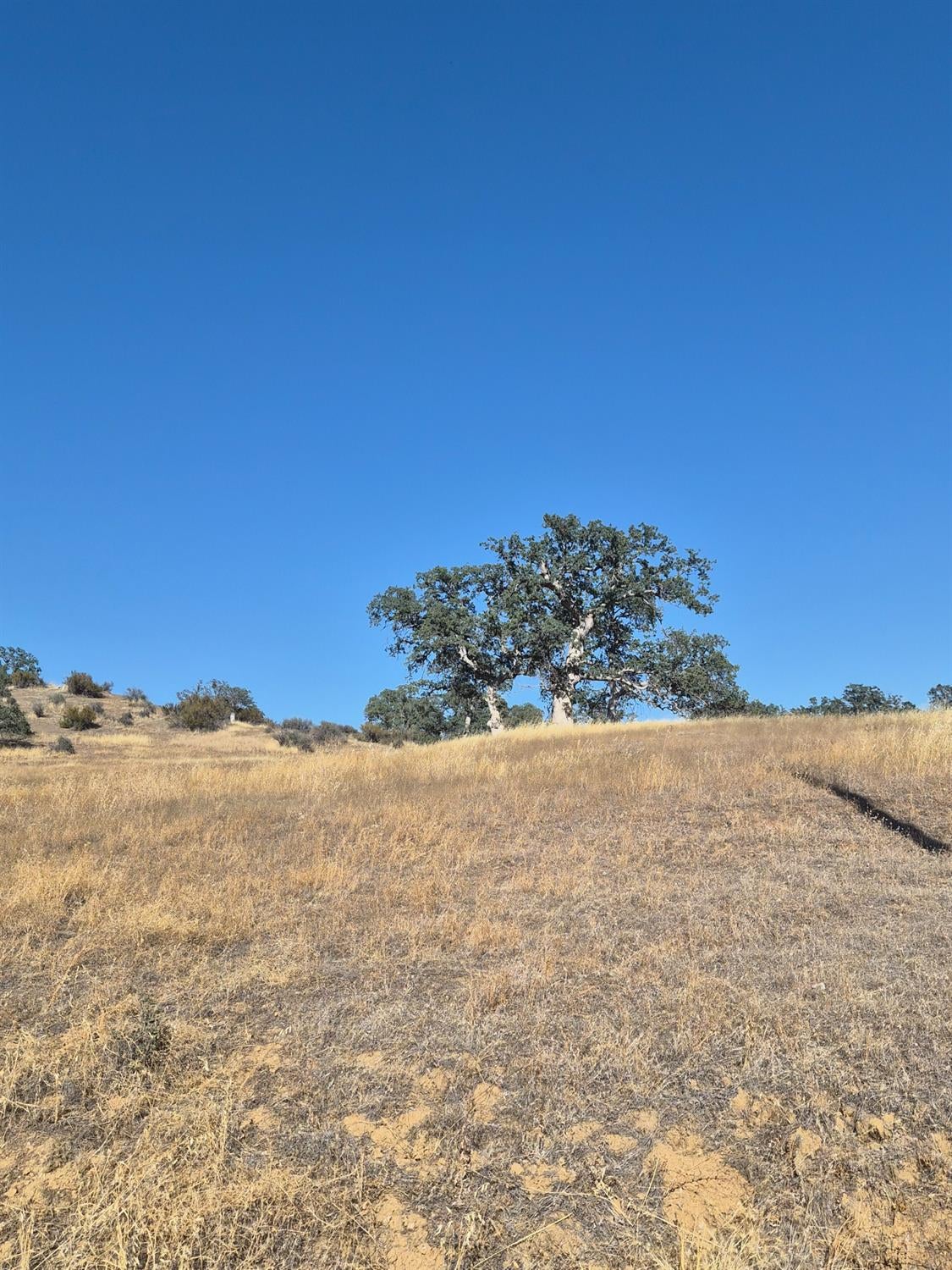 0 0 west ruby king Road