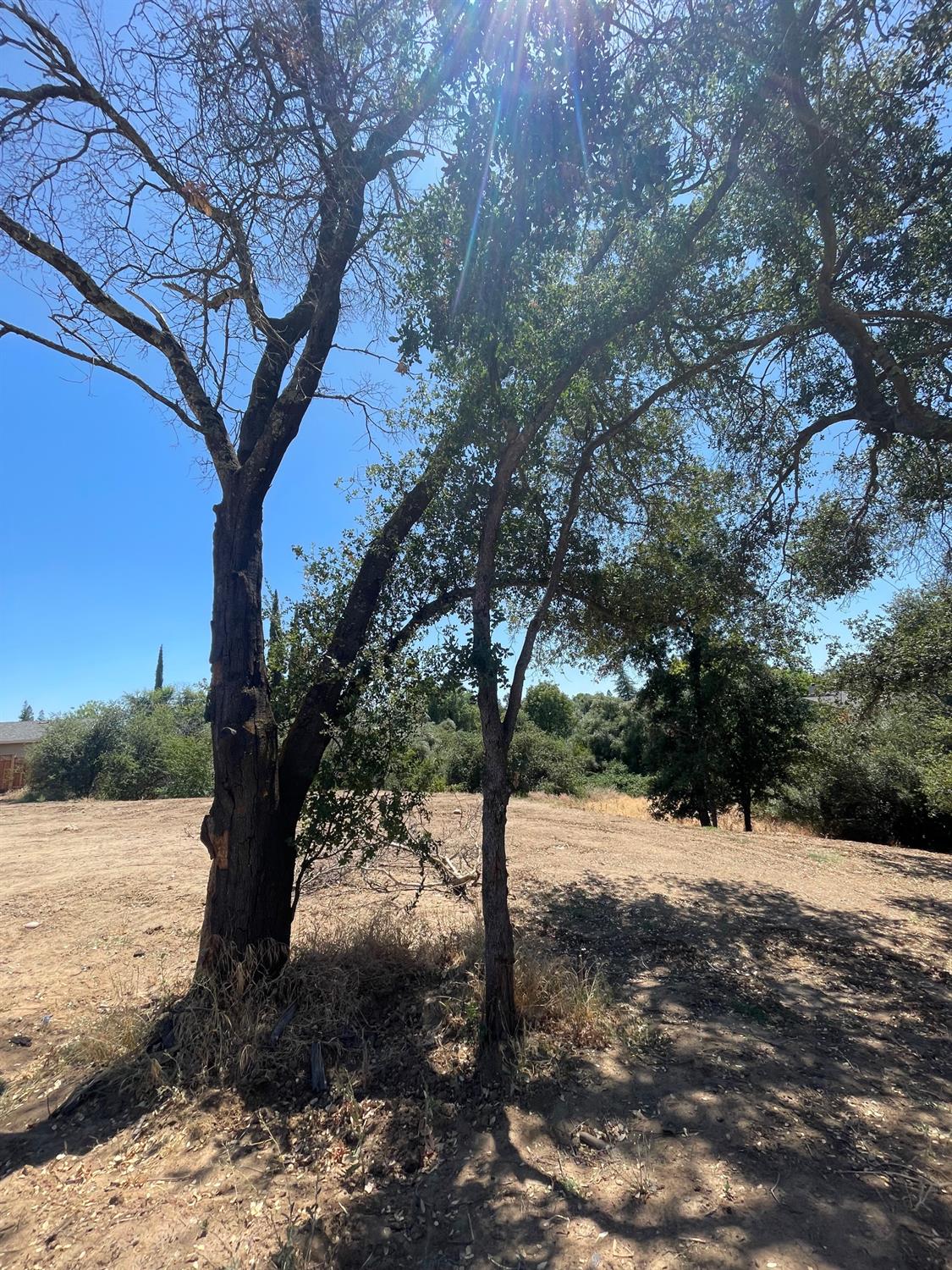 4215 New York Avenue