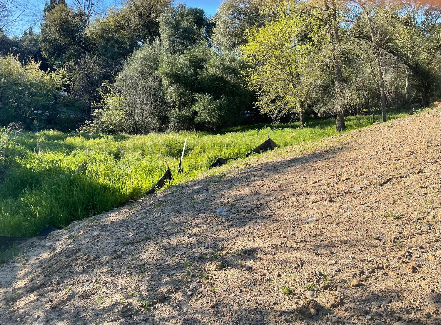 4215 New York Avenue