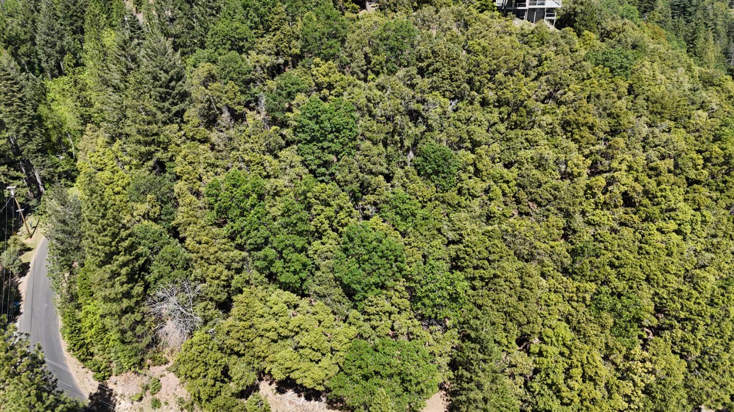 13305 Summit Ridge Drive