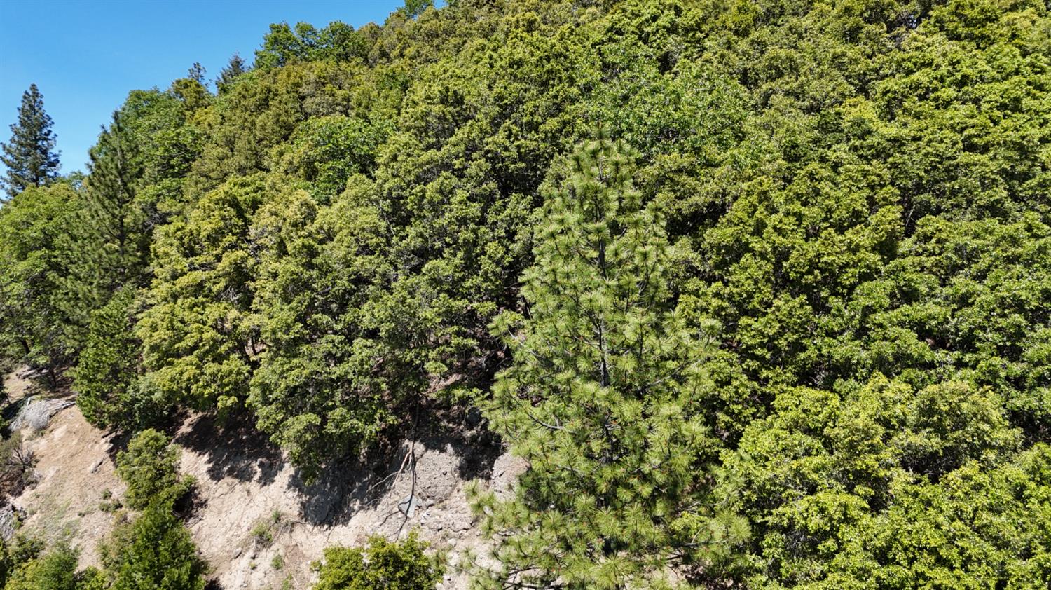 13305 Summit Ridge Drive