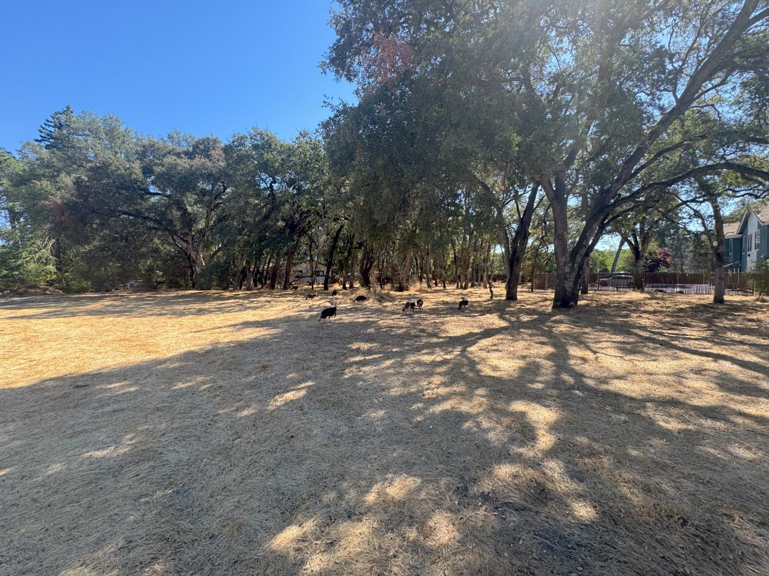 0 Manzanita Avenue