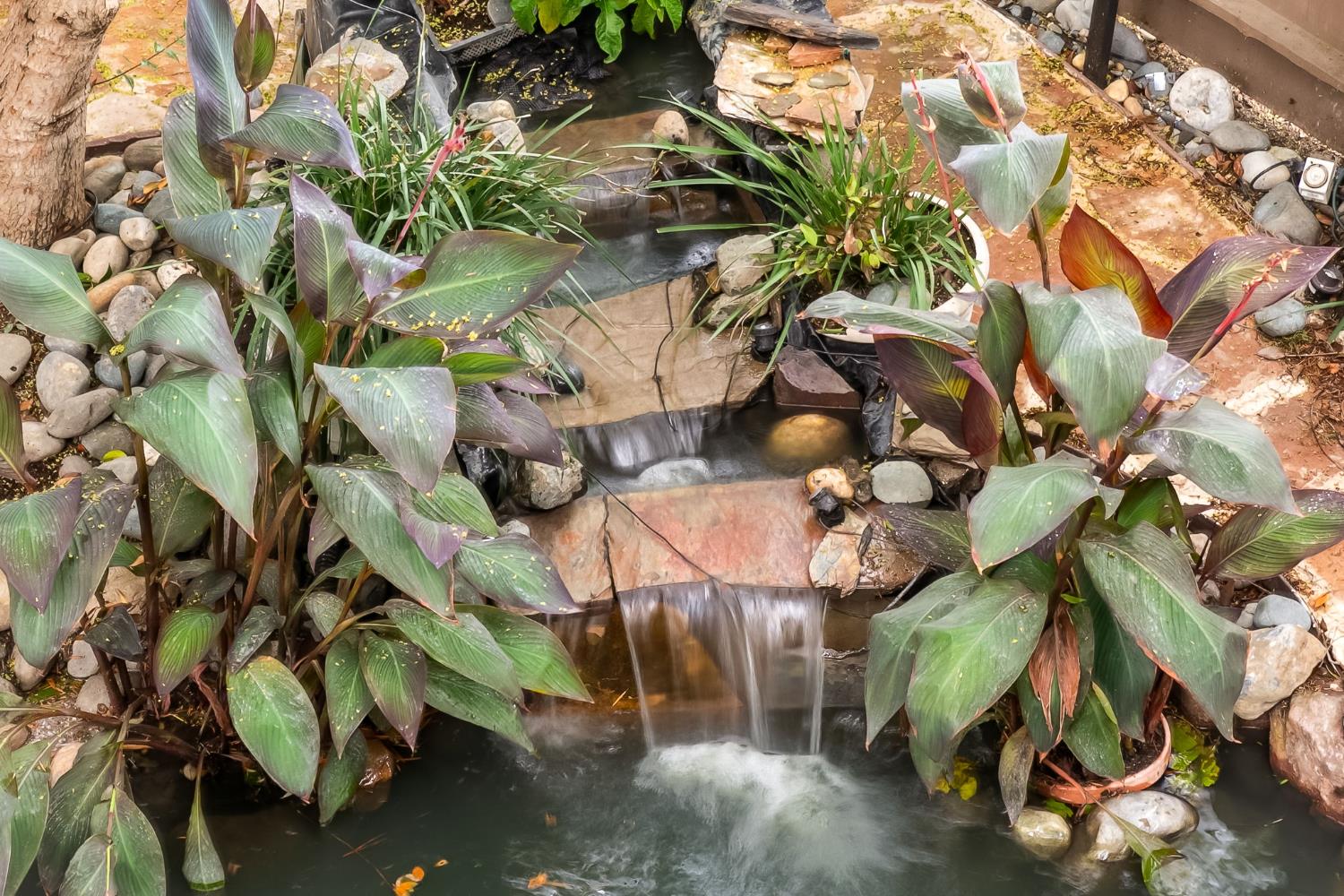 2424 Larkspur Lane 216