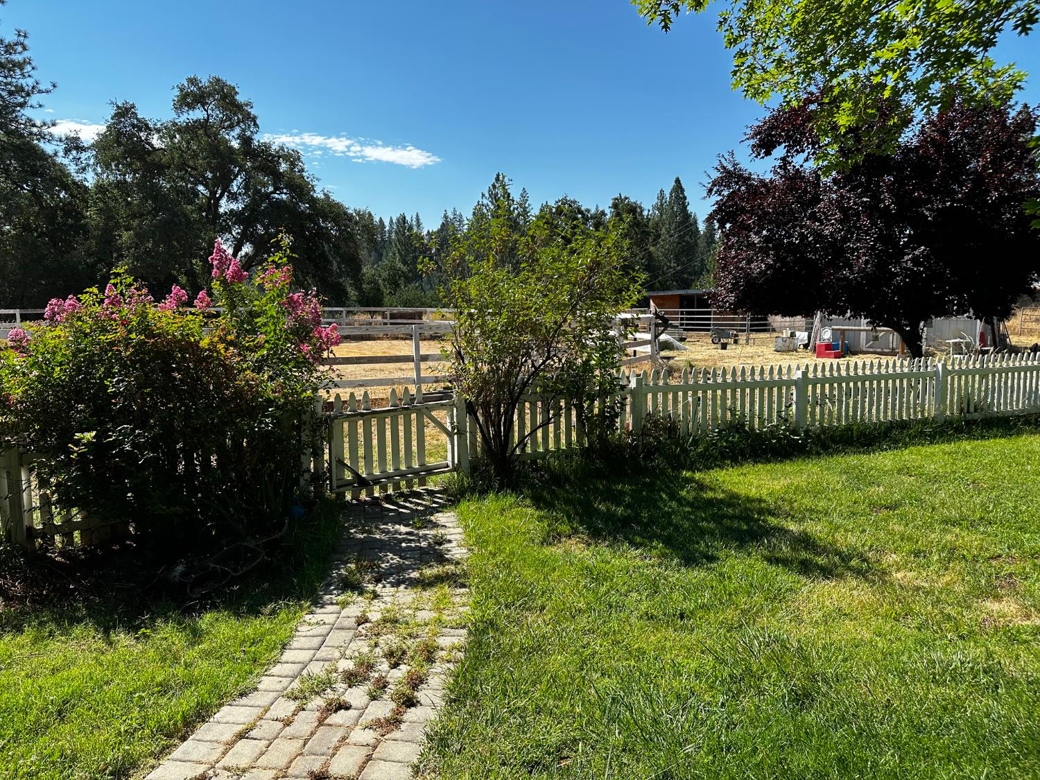 4164 Leisure Lane