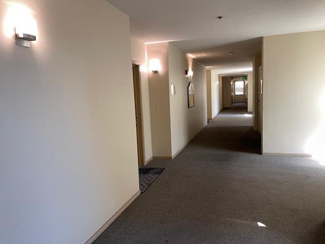 952 S 11th Street 234