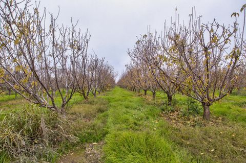 0 Ave 48 Earlimart CA 93219