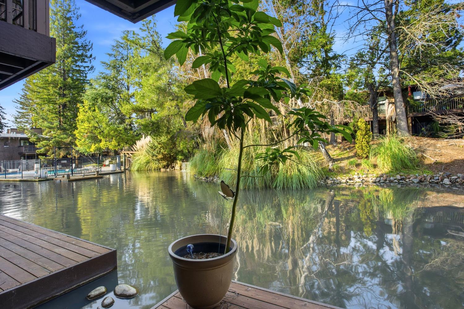 2482 Larkspur Lane 181